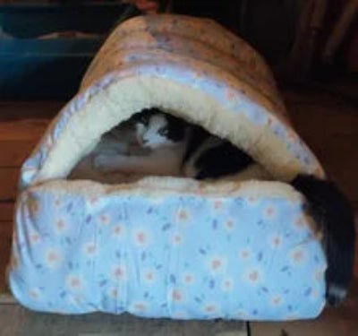 Niche pour chat - L'abri câlin™ - MON CHAT CHIC