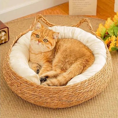 Panier-chat-osier-magnifique