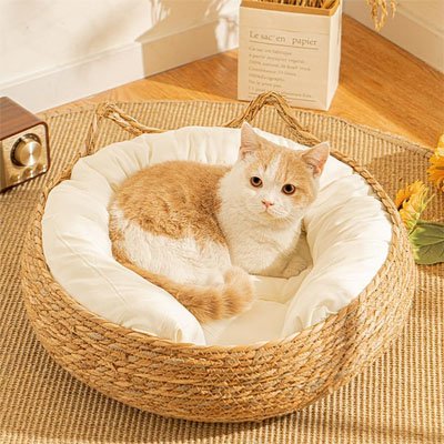 Panier-Chat-osier-beau