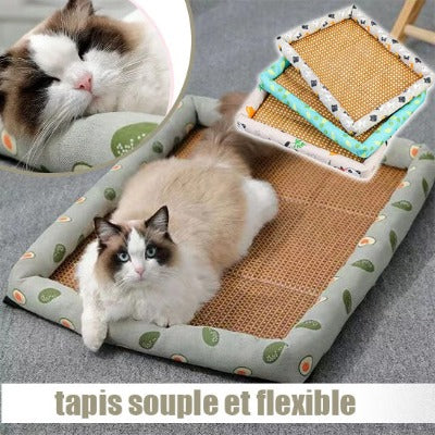 panier-chat-flexible