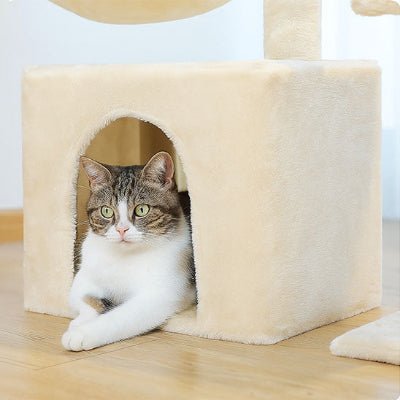 petit arbre a chat - MON CHAT CHIC