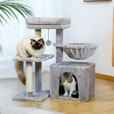 petit-arbre-a-chat-gris