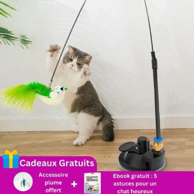 jouet-pour-chat-en promo