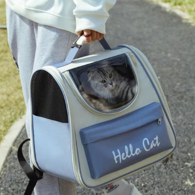 sac-de-transport-chat-bleu