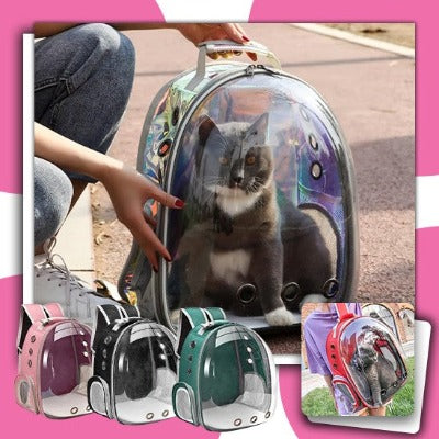 sac-de-transport-pour-chat-idéal