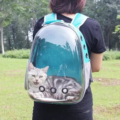 sac-de-transport-pour-chat-vert