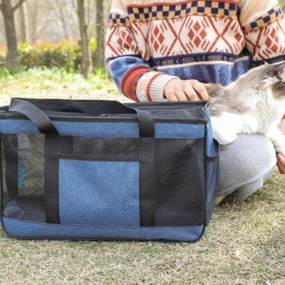 sac-de-transport-pour-chats-bleu