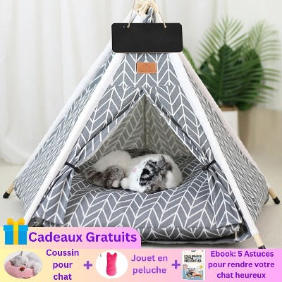 tipi-chat-gris