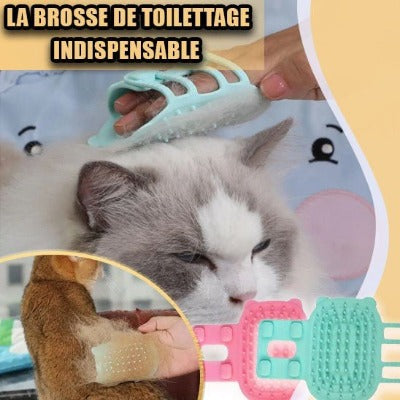 Brosse pour chat-POIL DOUX™- 