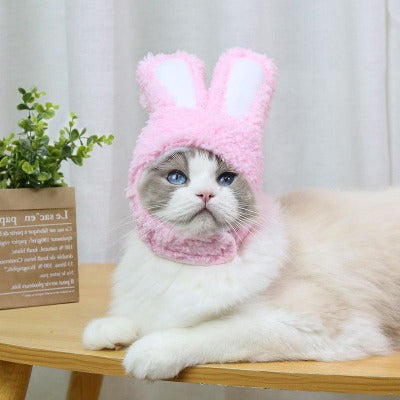  déguisement-lapin-pour-chat-rose